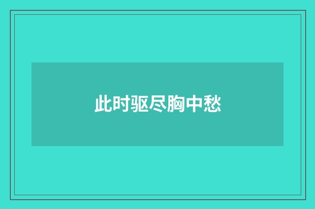 此时驱尽胸中愁
