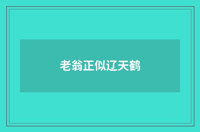 老翁正似辽天鹤