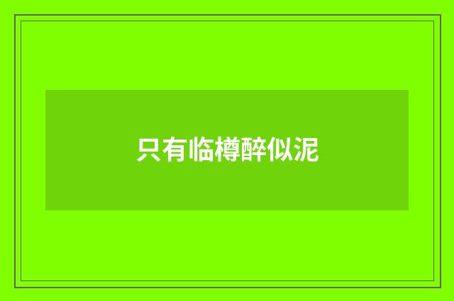 只有临樽醉似泥