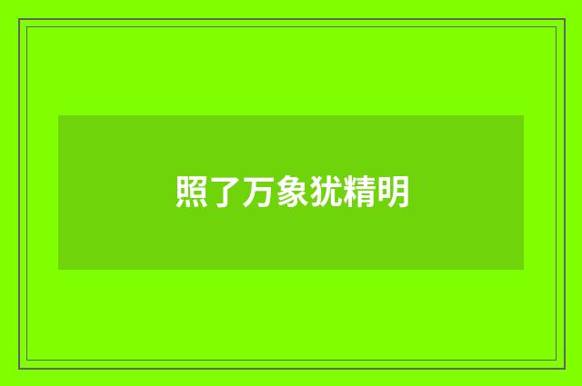照了万象犹精明