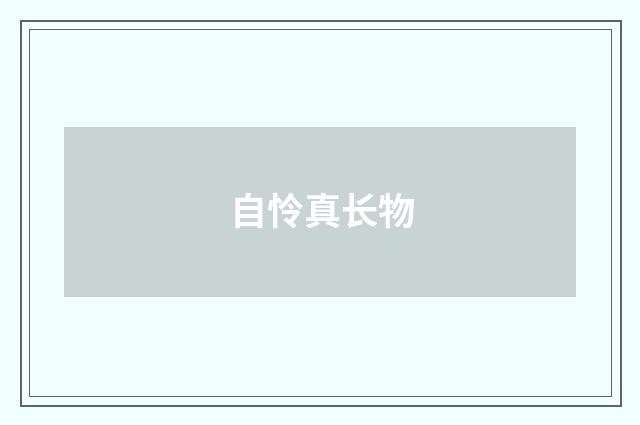 自怜真长物