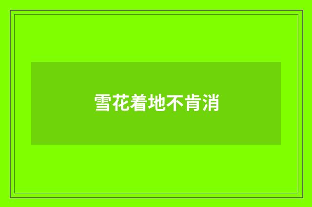 雪花着地不肯消