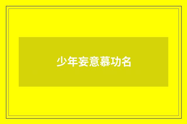 少年妄意慕功名