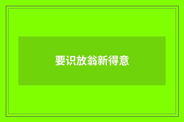 要识放翁新得意
