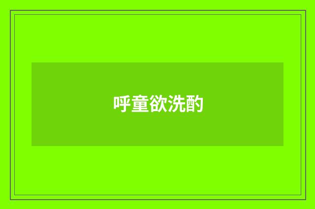 呼童欲洗酌