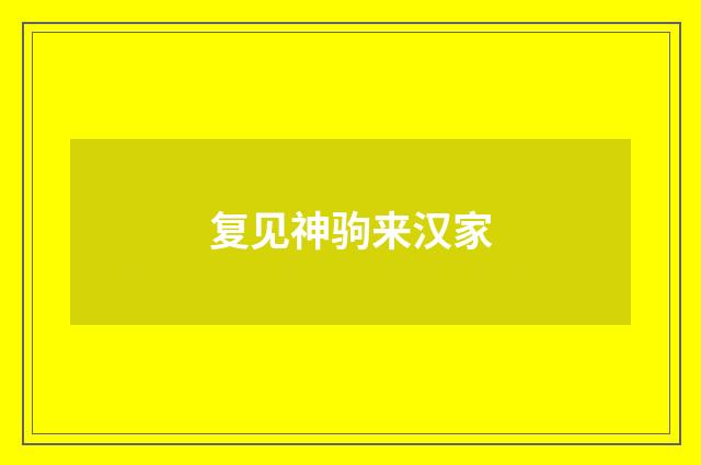复见神驹来汉家