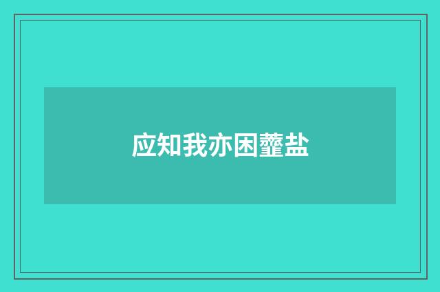 应知我亦困虀盐