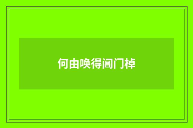 何由唤得阊门棹