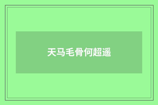 天马毛骨何超遥