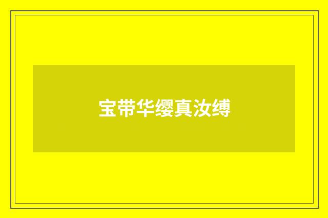 宝带华缨真汝缚