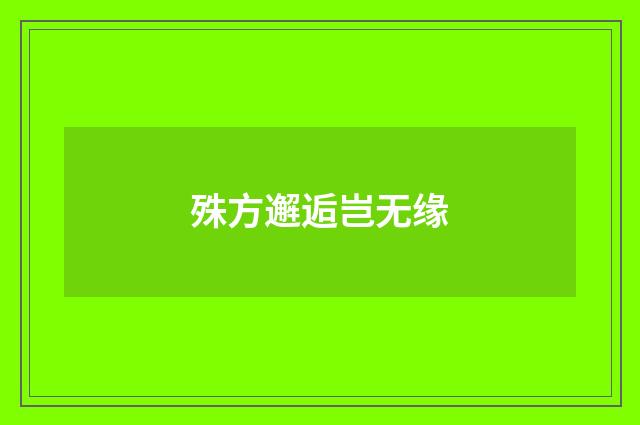 殊方邂逅岂无缘