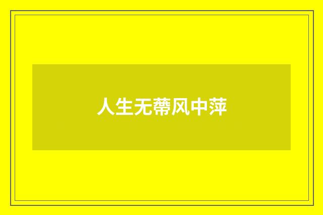 人生无蔕风中萍