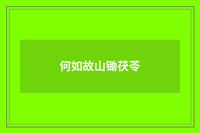 何如故山锄茯苓