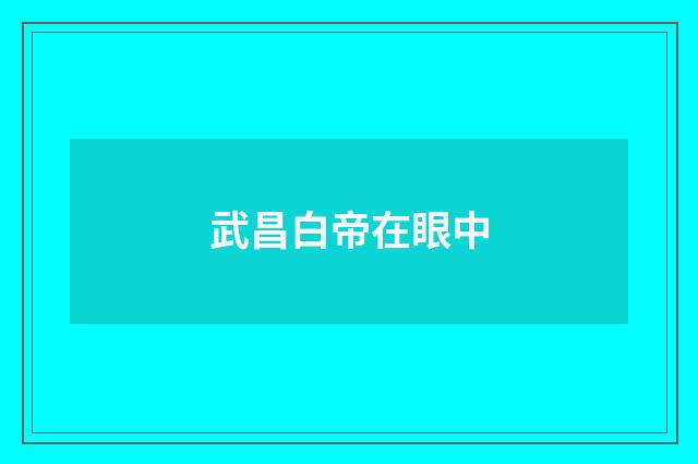 武昌白帝在眼中