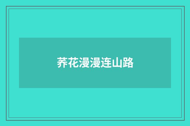 荞花漫漫连山路