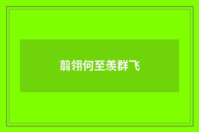 翦翎何至羡群飞