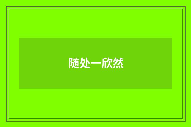 随处一欣然