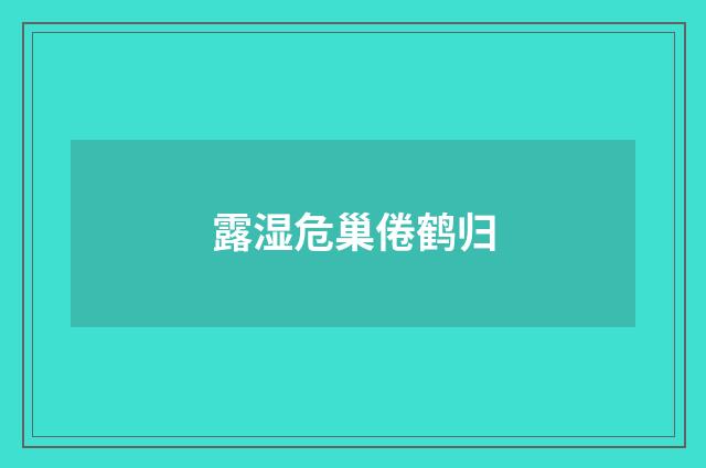 露湿危巢倦鹤归