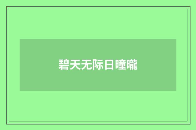 碧天无际日曈曨