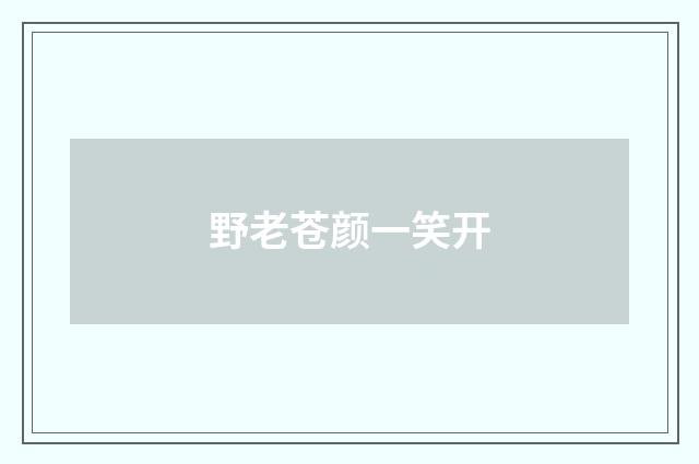 野老苍颜一笑开