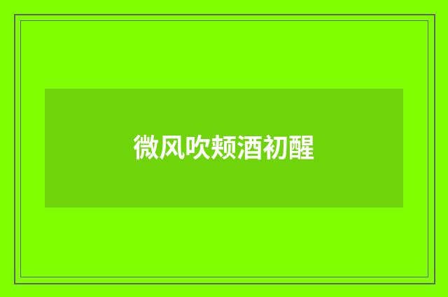 微风吹颊酒初醒