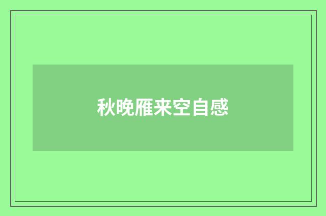 秋晚雁来空自感