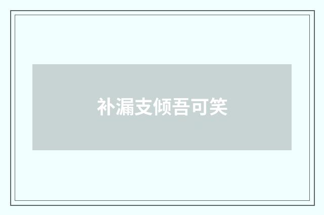 补漏支倾吾可笑