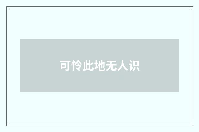 可怜此地无人识