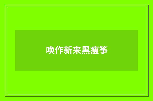 唤作新来黑瘦筝