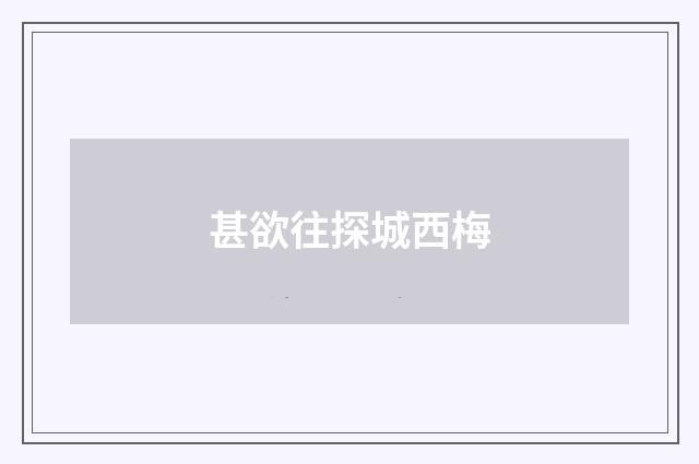 甚欲往探城西梅