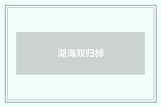 湖海双归棹