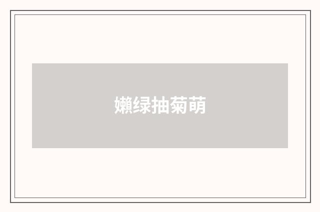 嬾绿抽菊萌