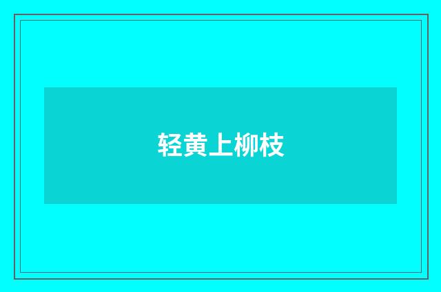 轻黄上柳枝