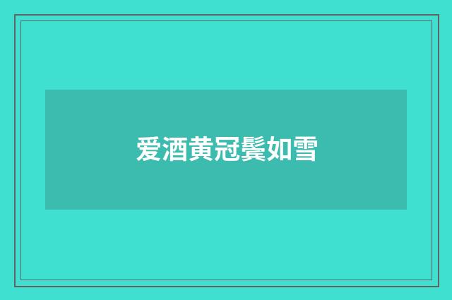 爱酒黄冠鬓如雪