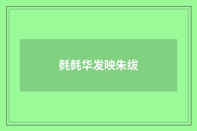毵毵华发映朱绂