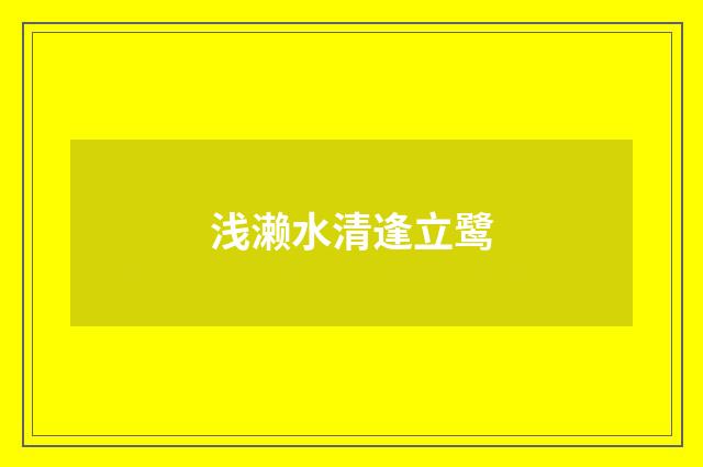 浅濑水清逢立鹭