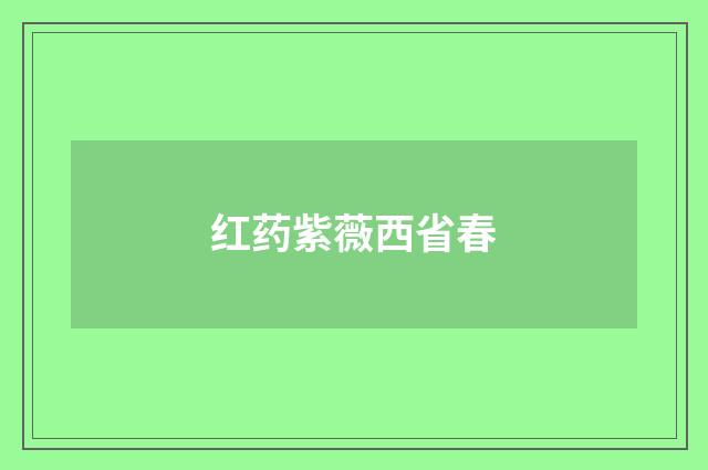 红药紫薇西省春