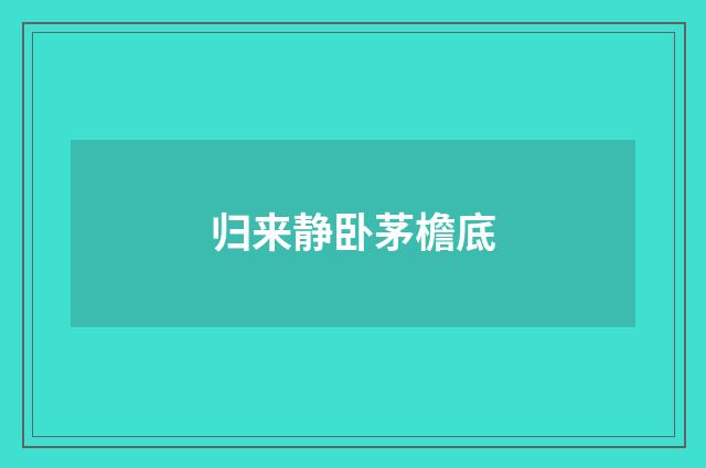 归来静卧茅檐底