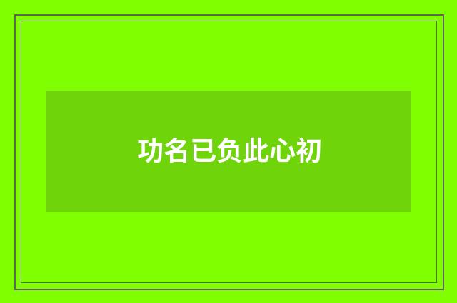功名已负此心初