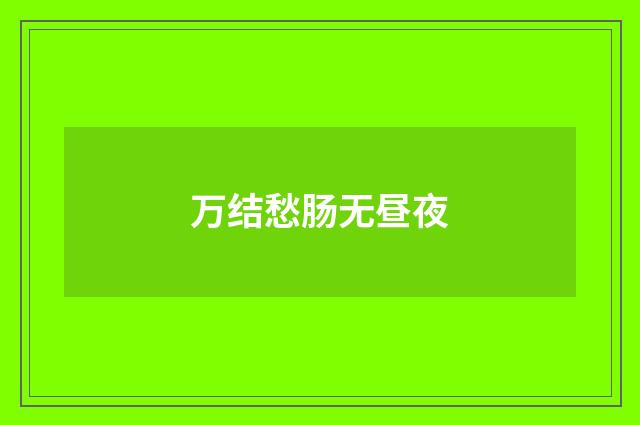 万结愁肠无昼夜