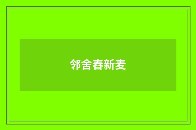 邻舍舂新麦