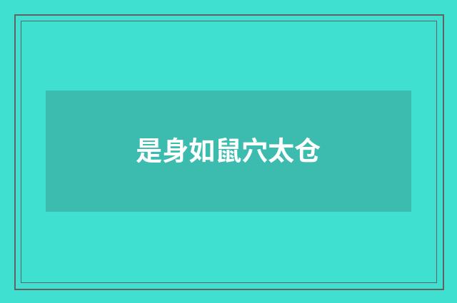 是身如鼠穴太仓