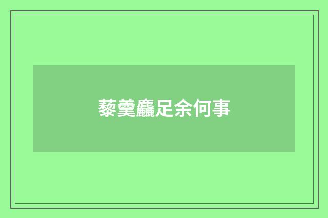 藜羹麤足余何事