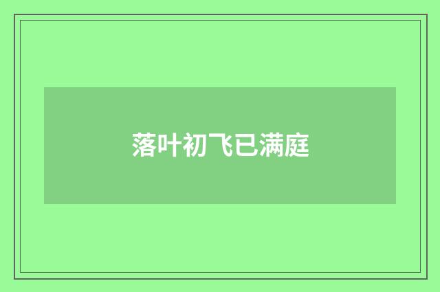 落叶初飞已满庭