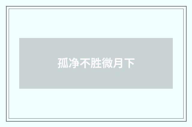 孤净不胜微月下