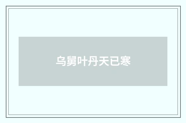 乌舅叶丹天已寒
