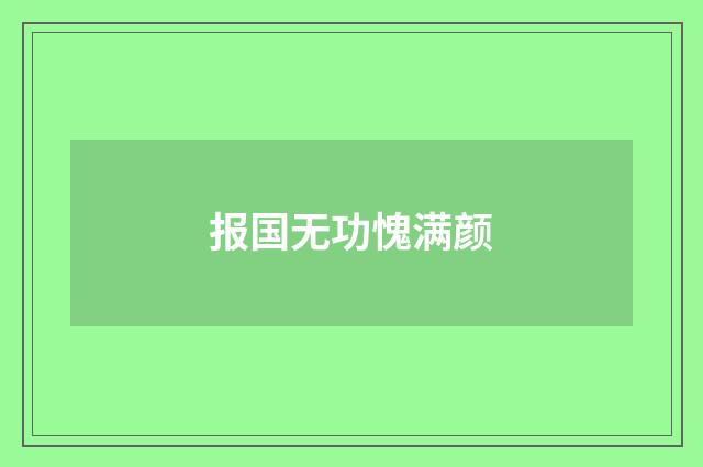 报国无功愧满颜