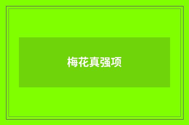 梅花真强项