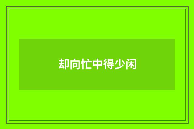 却向忙中得少闲