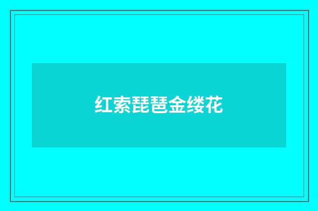 红索琵琶金缕花